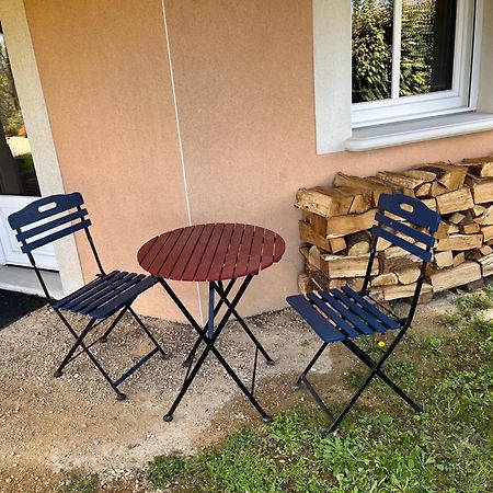 Ferienwohnung Comme Dans Un Ecrin - T2 De 50 M² Avec Jardin, Terrasse Et Piscine Vernaison Exterior foto